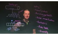 Precision microbes in pets for better gut health - Video