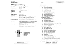 Model BFP - Polyclonal Antibody - Datasheet