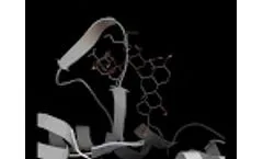 Interaction video between the protein 4NWC and GinsenosideRf - Video