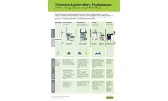 Drug Discovery Workflow