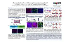 Characterization of a Novel Human Primary Intestinal Epithelial Monolayer Platform in Response to Cytokine Challenge (Poster) - Brochure