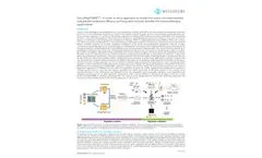 MedGenome - Model OncoPeptTUME - Immunotherapy Drugs - Brochure