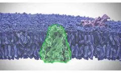 METAscreen Research Products Presentation - Video