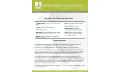44-362-0100 - Rabbit Anti-Rat IgG Secondary Antibody Datasheet