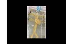 Beating heart Phantom 1 of 4 - Videos