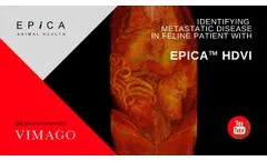 Epica Vimago HDVI - Use Case - 15 Year Old Feline Patient - Metastatic Disease - Video