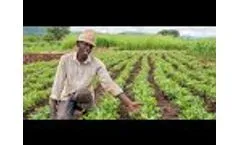 SOCO Hydrogel - Increase Yield by 30%! - Video