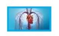 BioLife4D - See Bioprinting in Action - Video