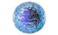 BIOLIFE4D Bioprinting Process - Video