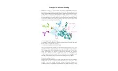 Principles of Molecular Docking
