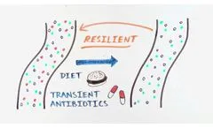 Enterome: the gut microbiome and its impact on our health - Video