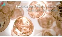 Regenerative Medicine in Action - Video