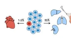 Explain Secretome APOSEC - Video