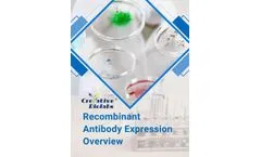 MHC Tetramer for Bacteriology