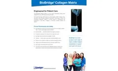 BioBridge - Collagen Matrix Brochure