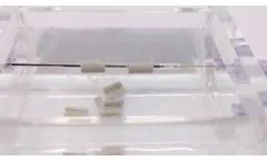 Intravascular Lithotripsy Cracking Calcium Proxy - Video