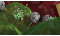Light-Activated Intracellular Acidosis (LAIA) by Vitanova Biomedical Video