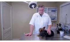 A Smelly Subject - Video