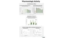 InMed - Model INM-755 - Cannabinol Topical Cream for the Treatment of Epidermolysis Bullosa - Brochure
