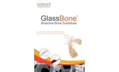Glassbone - Injectable Putty for Bone Regeneration - Brochure