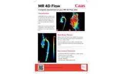 Caas - Version MR 4D - Complete Flow Assessment Software - Brochure