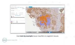 HALO Image Analysis - Video