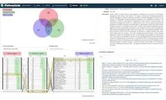 iPathwayGuide - Meta Analysis - Video