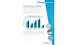 Proprietary Image Analysis Service - Support Document 