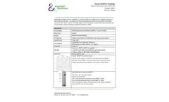 Ampersand - Model ANGPTL7 -mAb (ANG7-1G8) M2018 - Human Antibodie - Datasheet