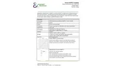 Ampersand - Model ANGPTL7 - mAb (ANG7-2H6) M2017 - Human Antibodie - Datasheet
