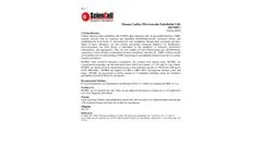 ScienCell - Model 6000 - Human Cardiac Microvascular Endothelial Cells - Datasheet