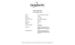 BiosPacific - Model A66010 - ACTH (N-Terminal) Monoclonal Antibody - Brochure