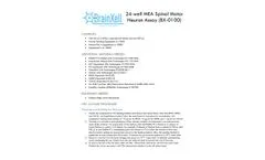 BrainXell - Spinal Motor Neurons - Brochure