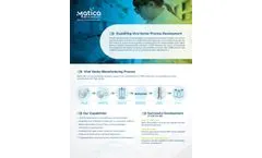 Viral Vector Process Development: From Gene to Product - Brochure