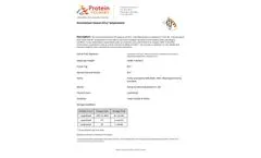 Protein Foundry - Model XCL1- PFP005 - Recombinant Human Lymphotactin Protein Cell - Brochure