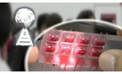 Invivo Sciences, LLC Helping to Bring Tomorrow`s Discoveries to Life  - Video