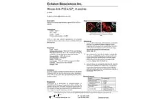 Model Z-A345 - Anti-PtdIns(3,4,5) P3 IgM In Ascities - Datasheet
