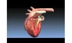MitralSeal Canine Mitral Valve Replacement Technology - Video