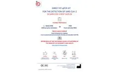 DI SARS-COV-2 REST DUPLEX (CE-IVD) - Sheet