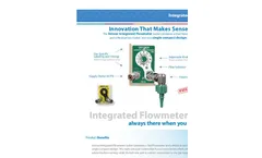 Integrated Flowmeter Brochure