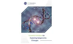 Exploring Epigenomic Changes