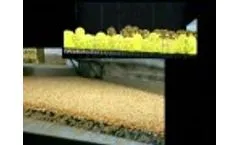 ARROWCORP PEGASUS 1 Video