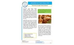 AvaPro - Model B - Microbiome for for Poultry - Brochure