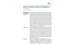 Creative Enzymes - Model DIGS-253 - Native Clostridium Histolyticum Collagenase Brochure