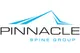 Pinnacle Spine Group