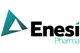 Enesi Pharma Limited