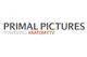 Primal Pictures