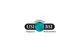 Universal Surgical Veterinary Instruments