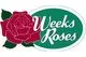 Weeks Roses