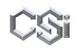 Critical Systems, Inc.